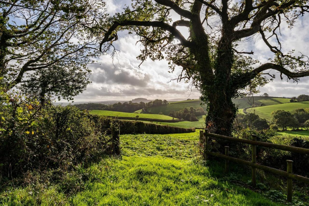 Apartmán The Stables - Charming 15Th-Century Rural Bolthole Newton Abbot Exteriér fotografie